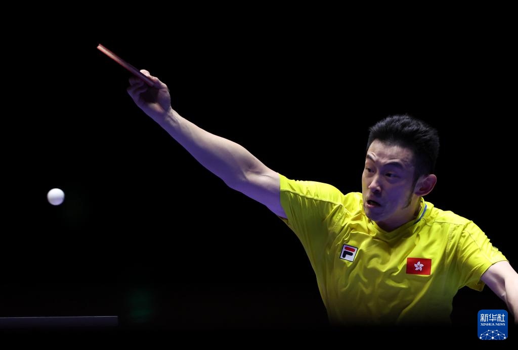 的不二选择 的不二选择