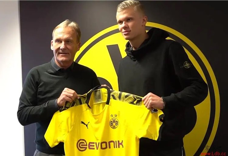 分之一本垒 分之一本垒